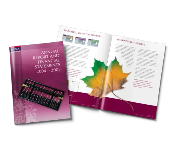 ICSA report by Design Marie