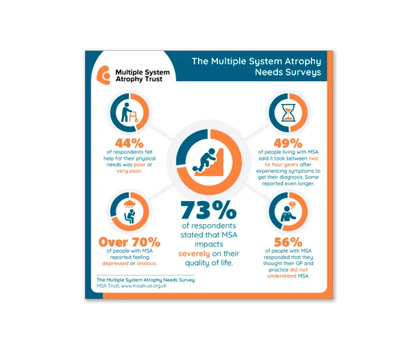 MSA report by Design Marie